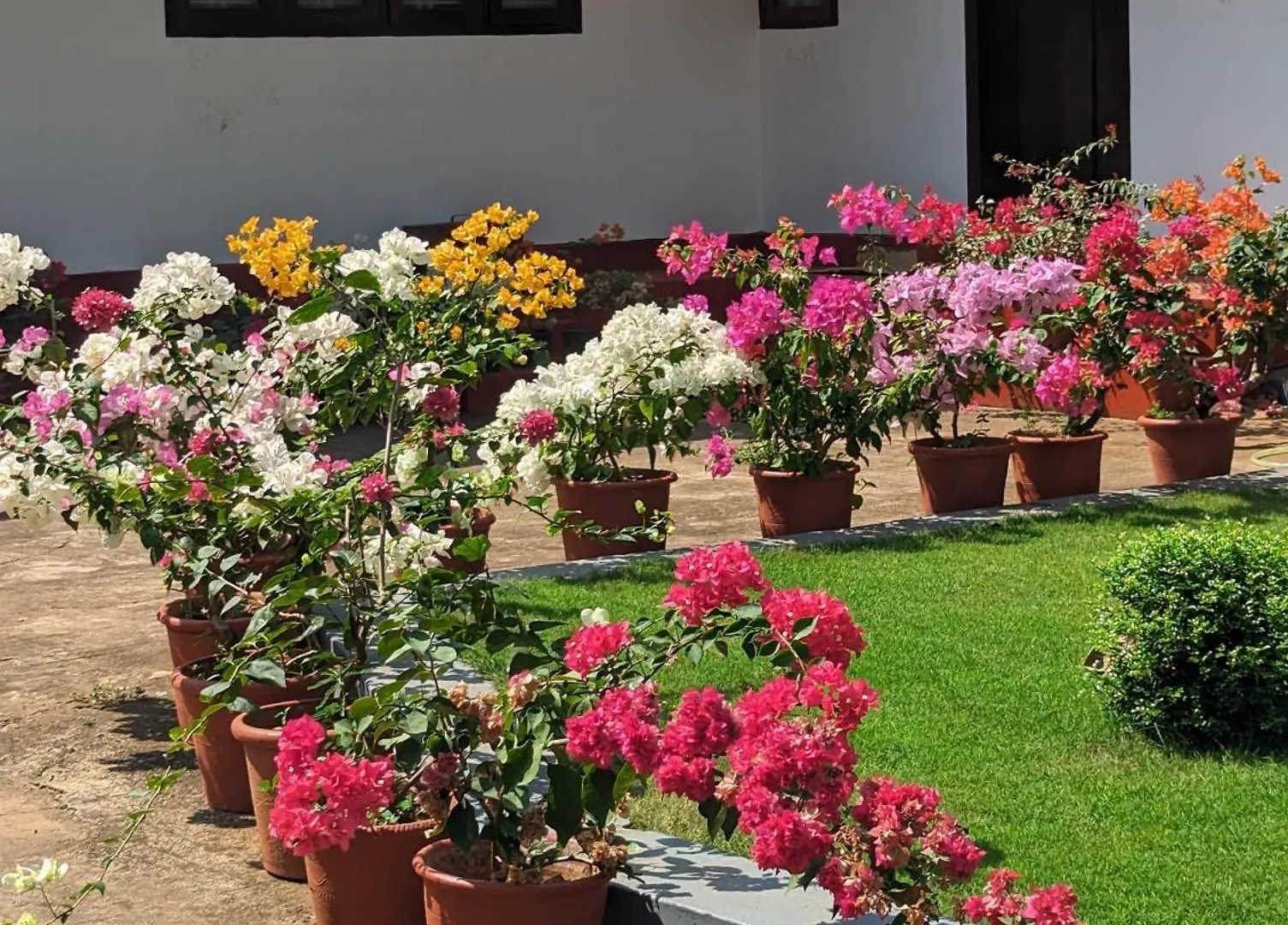 Hill Top Homes Kannur Bed & Breakfast