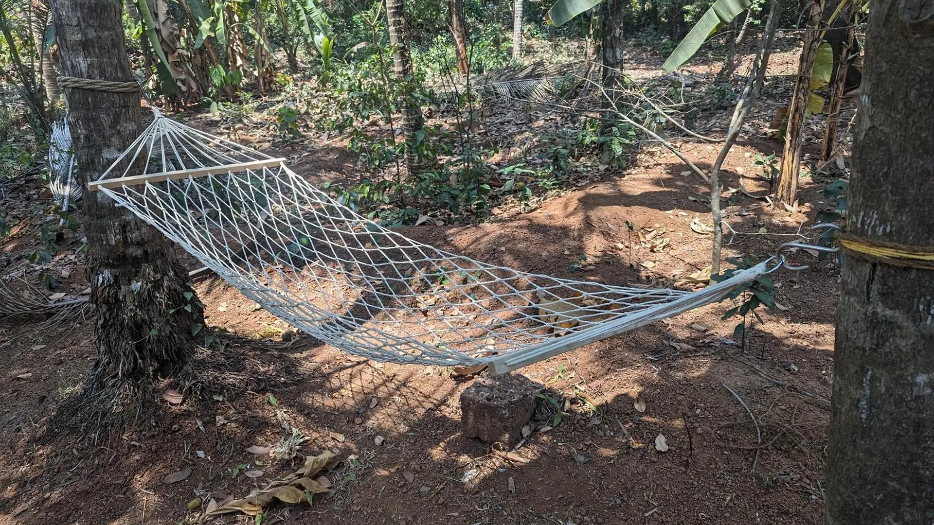 Hill Top Homes Kannur India